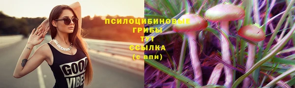 спайс Кинешма