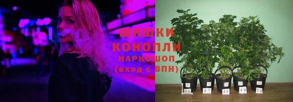 ALPHA PVP Киреевск